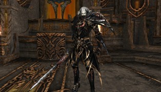 Lineage II screenshot7