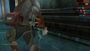 Wolf Team screenshot6