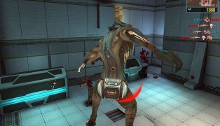Wolf Team screenshot10