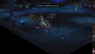 Metin2 screenshot9