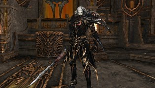 Lineage 2 Classic screenshot4