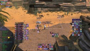 Perfect World International screenshot9