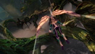 Guild Wars 2 screenshot7
