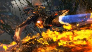 Guild Wars 2 screenshot10