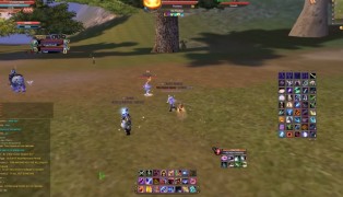 Perfect World International screenshot8