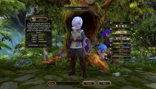 Dragon Nest screenshot8
