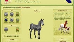 Howrse screenshot2