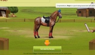 Howrse screenshot8