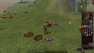 Metin2 screenshot3