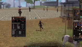 Metin2 screenshot5