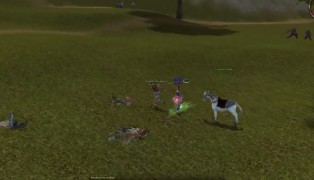 Metin2 screenshot8