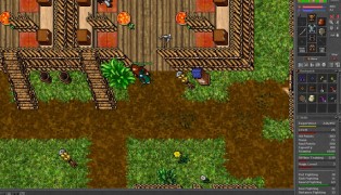 Tibia screenshot11