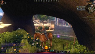 NeverWinter screenshot3