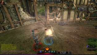NeverWinter screenshot8