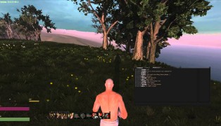 Life is Feudal (B2P) screenshot5