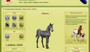 Equideow screenshot2