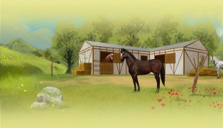 Equideow screenshot4