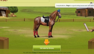 Equideow screenshot8