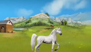 Equideow screenshot10