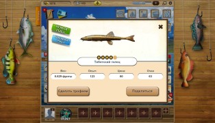 Let's Fish! screenshot9