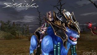 Shaiya screenshot10