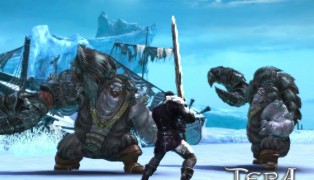 TERA Online screenshot3