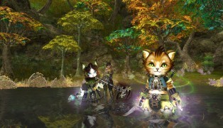 Lineage 2 Essence screenshot8