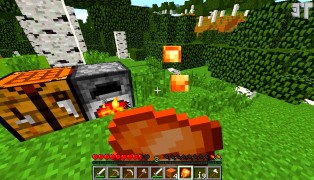 Minecraft screenshot6