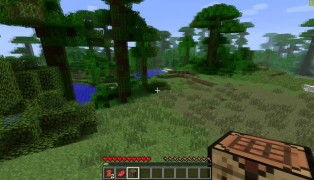 Minecraft screenshot7