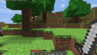Minecraft screenshot8