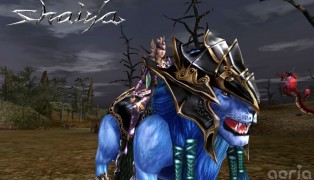 Shaiya screenshot10