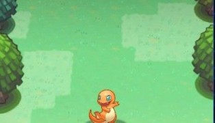 Pokemon Mega screenshot3