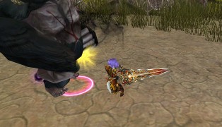 Fiesta Online screenshot6