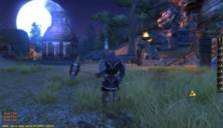 Perfect World International screenshot4