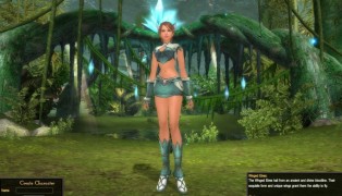 Perfect World International screenshot5