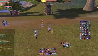 Perfect World International screenshot8