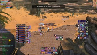 Perfect World International screenshot9