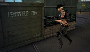 Crossfire screenshot4