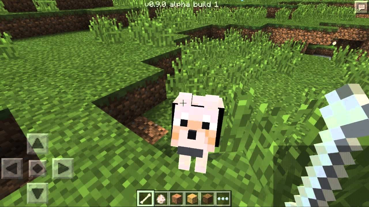 Tamable Mobs and how to Tame Them - Part I Minecraft