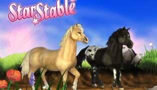 Star Stable screenshot8