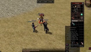 Metin2 screenshot5