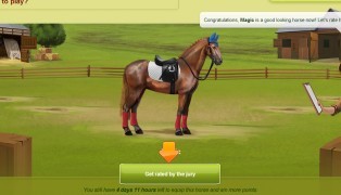 Howrse screenshot8