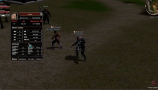 Metin2 screenshot1