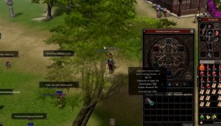 Metin2 screenshot6